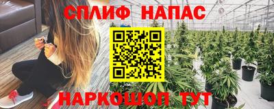 spice Аргун